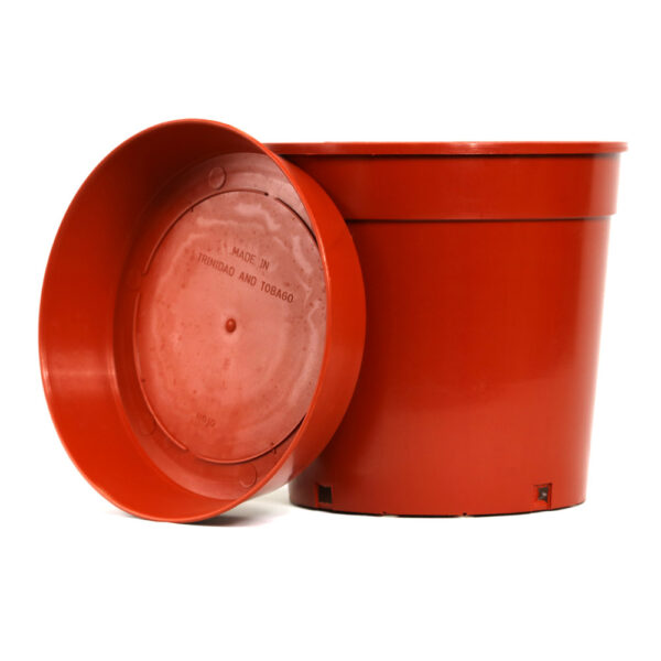 Indoor Plant Pot 20cm - Image 10